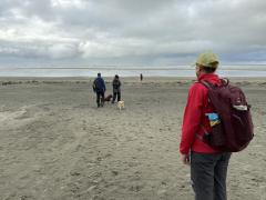 Arriving at West Wittering